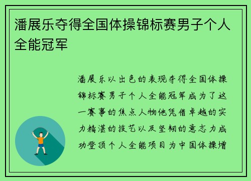 潘展乐夺得全国体操锦标赛男子个人全能冠军